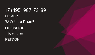 4959877289